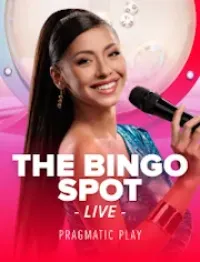 the bingo spot game logo